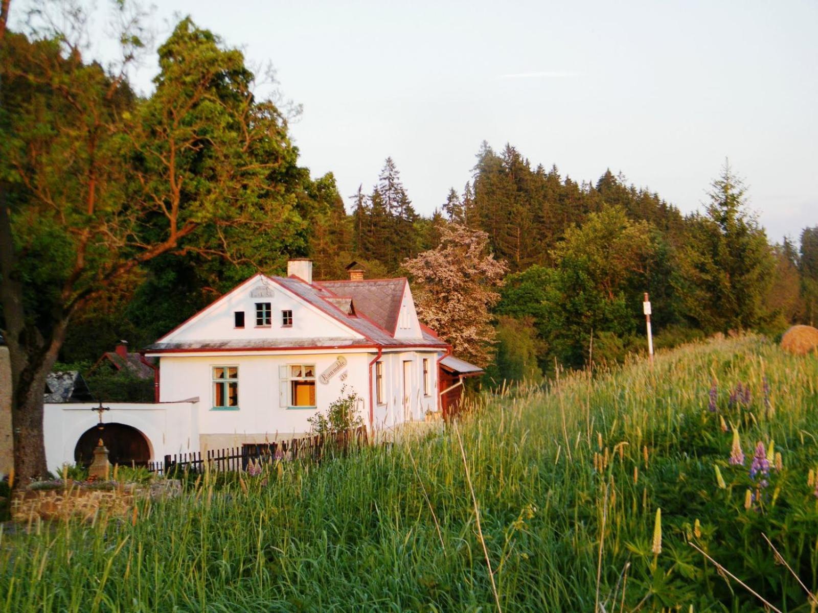 Rainmuehle Villa Marianske Lazne Exterior photo
